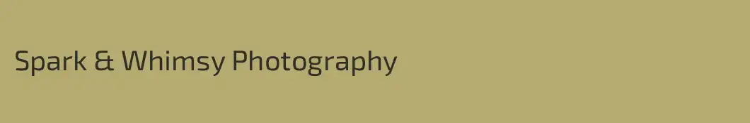 Spark & Whimsy Photography